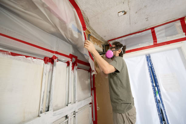 Best Attic Mold Removal  in Industry, PA