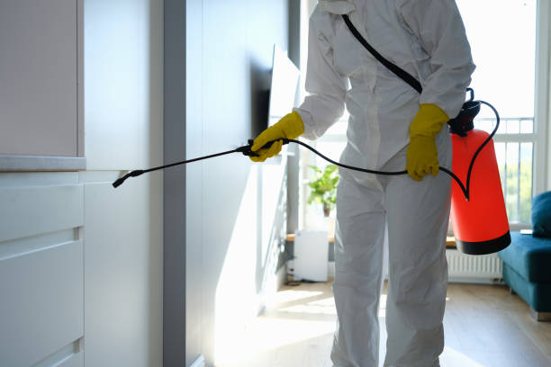 Best Airborne Mold Testing  in Industry, PA