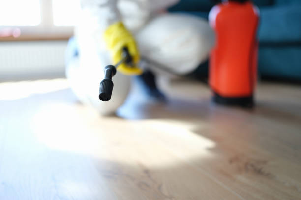 Biohazard Mold Removal in Industry, PA