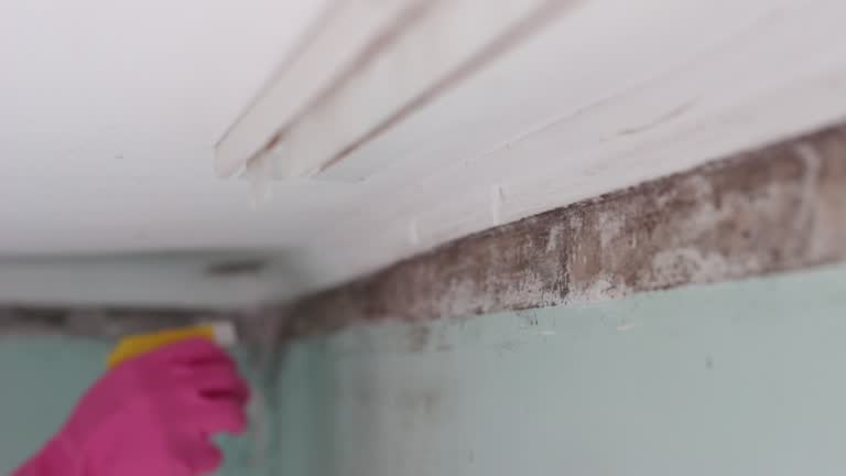 Best Indoor Air Quality Assessment  in Industry, PA
